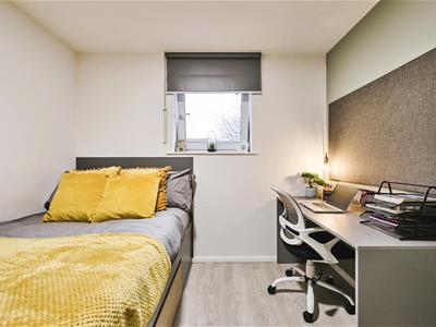 Picture 20